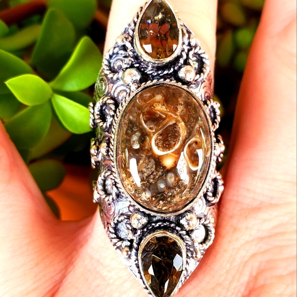 New Turtella Agate Fossil and Smoky Quartz 925 Silver Statement Ring. - Picture 1 of 16